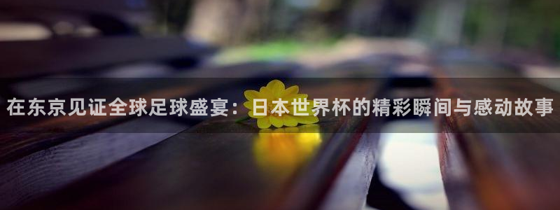 世界杯预选赛直播:在东京见证全球足球盛宴:日本世界杯的精彩瞬间与感动故事