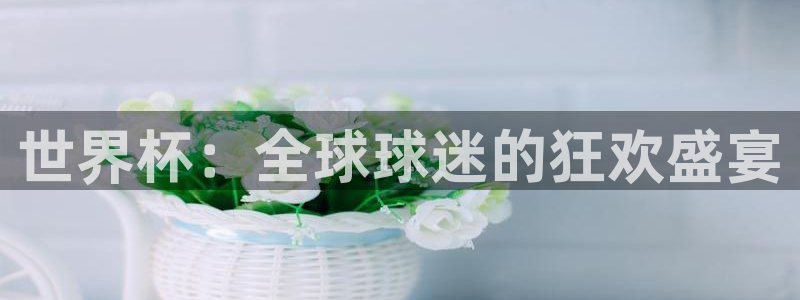 世界杯欧洲预选赛：世界杯：全球球迷的狂欢盛宴