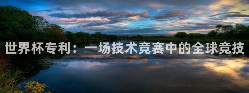 世界杯欧洲预选赛：世界杯专利：一场技术竞赛中的全球竞技