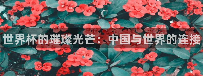 世界杯足球：世界杯的璀璨光芒：中国与世界的连接
