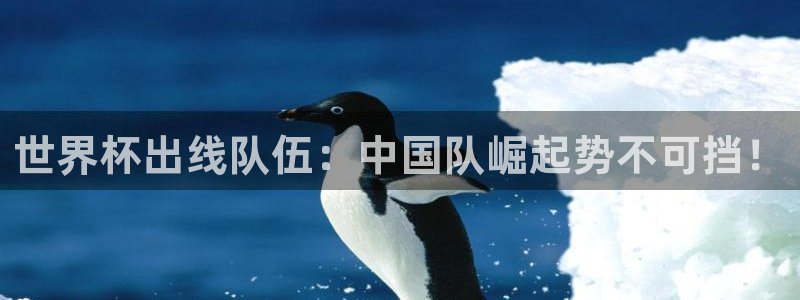 世预赛直播：世界杯出线队伍：中国队崛起势不可挡！