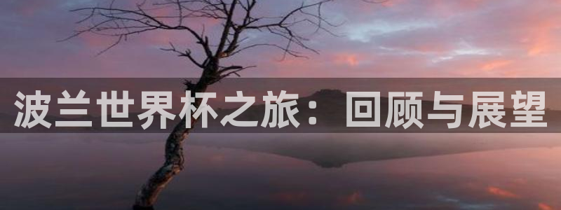 2026年世界杯时间表：波兰世界杯之旅：回顾与展望