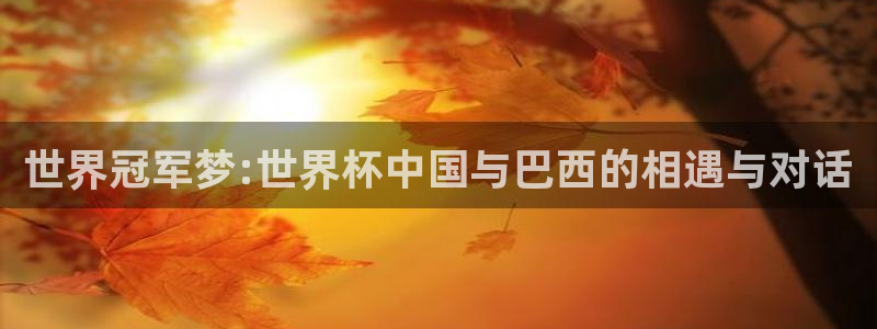 亚洲区世界杯预选赛：世界冠军梦:世界杯中国与巴西的相遇与对话