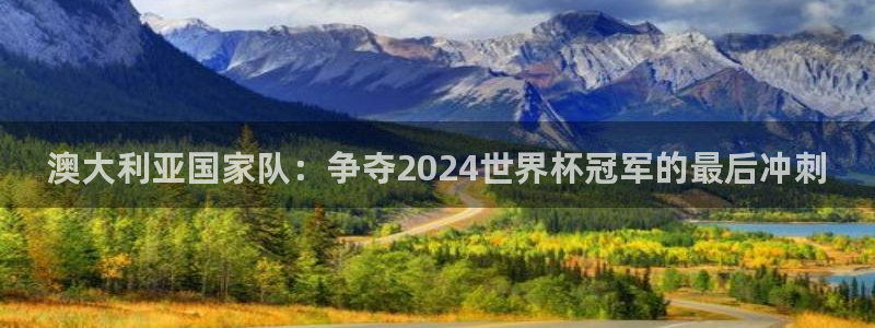 世界杯在线直播入口：澳大利亚国家队：争夺2024世界杯冠军的最后冲刺