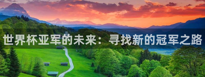 世界杯预赛赛程：世界杯亚军的未来：寻找新的冠军之路