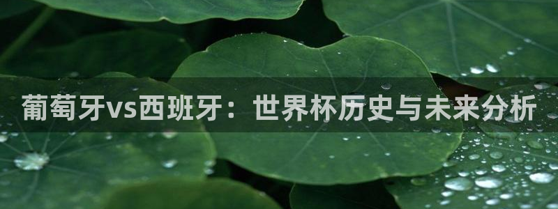 2026世亚预赛赛程表：葡萄牙vs西班牙：世界杯历史与未来分析